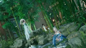 blog