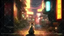 blog